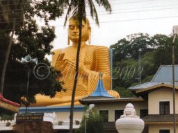 Sri_Lanka 2002 011